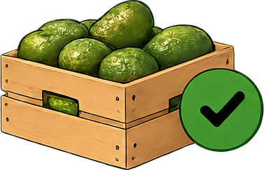Caja de aguacates adjudicada, con su visto verde